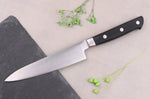 Mallette Satake Cutlery ABS 4 couteaux japonais