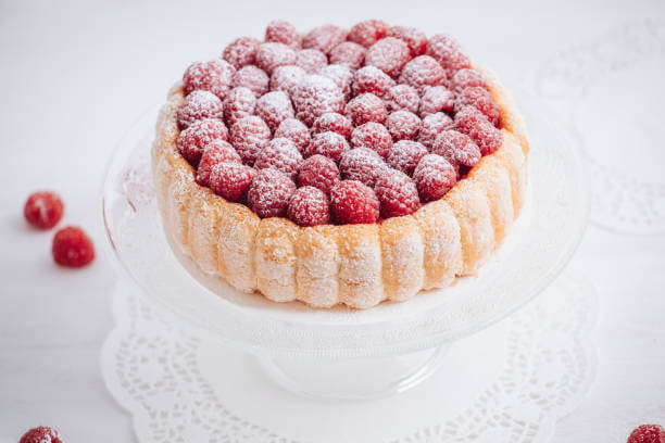 Moule à Bavarois Gobel anti-adhérent - Diamètre 18cm