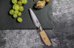 Coffret 3 couteaux Fukito Pakka San Mai Chef + Universel + Office