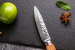 Mallette de 5 couteaux de cuisine Wusaki Damas 10Cr manches en olivier