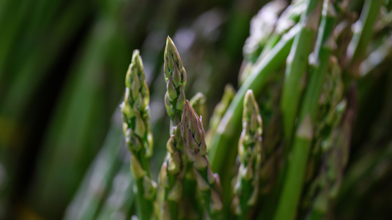 Comment peler une asperge ?